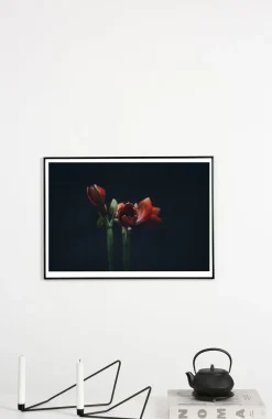 - Plakat - Dark red - Fotoplakat - 30x40 cm*Applicata Clearance