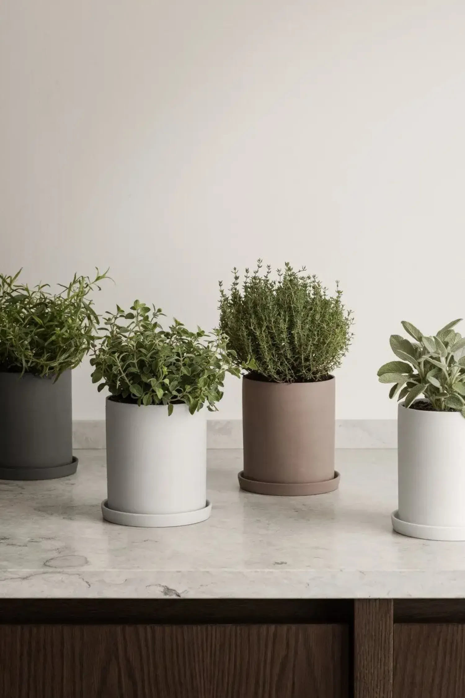 - Herb Pot - Bark - NONA*Blomus