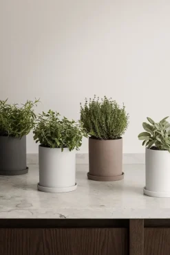 - Herb Pot - Pewter - NONA*Blomus Online