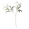 - Eucalyptus Kunstig stilk - Grøn*Bloomingville Sale