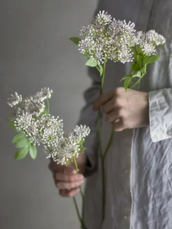 - Fennel Kunstig stilk - Rosa, Plastik*Bloomingville Clearance