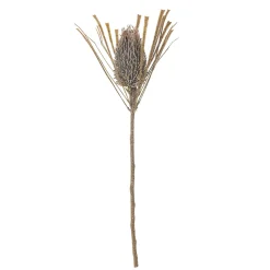 - Palmflower Kunstig stilk - Brun, Plastik*Bloomingville Hot