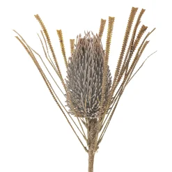 - Palmflower Kunstig stilk - Brun, Plastik*Bloomingville Hot