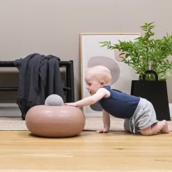 - Donut S Nutmeg^bObles Online