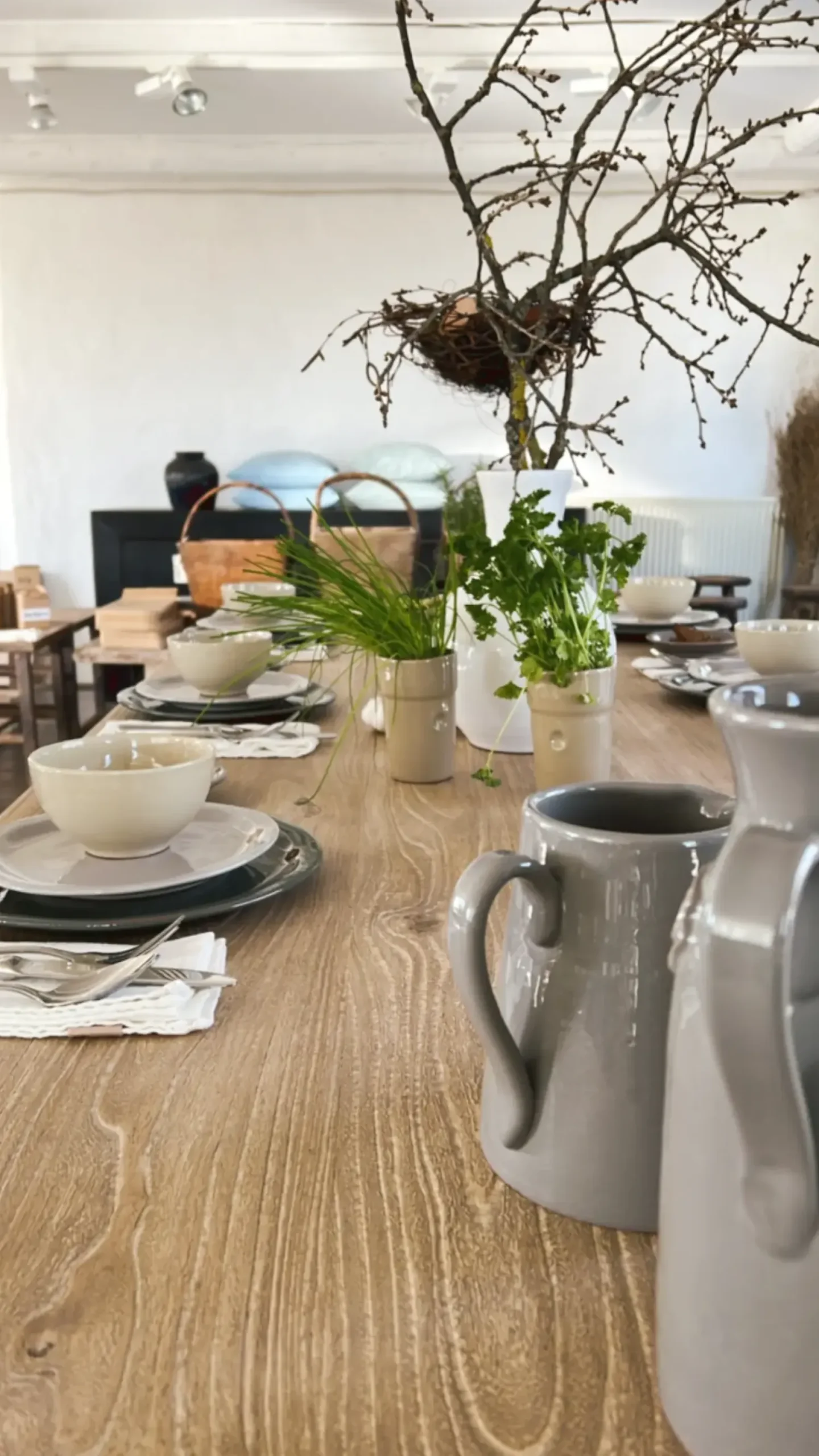 - Skål - Verde / Grøn - Ø 16 / H 6 cm^CASAgent