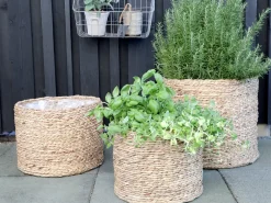 Chic Antigue - Kurve i flet - Sæt af 3 stk.^Chic Antique Best