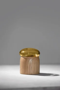 - Boletus - Eg - Amber - 9 cm^ChiCura Discount