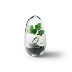 - Grow Greenhouse - Small*Design House Stockholm Online