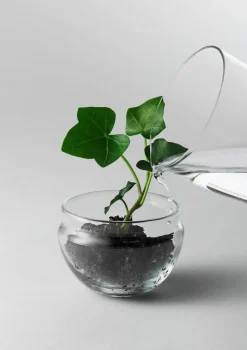 - Grow Greenhouse - Small*Design House Stockholm Online