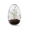 - Grow Greenhouse - X-Large - Ø: 20 cm, H: 32 cm*Design House Stockholm Sale