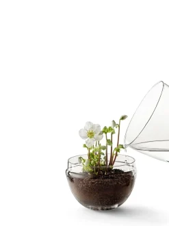 - Grow Greenhouse - X-Large - Ø: 20 cm, H: 32 cm*Design House Stockholm Sale