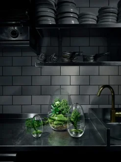 - Grow Greenhouse - X-Large - Ø: 20 cm, H: 32 cm*Design House Stockholm Sale