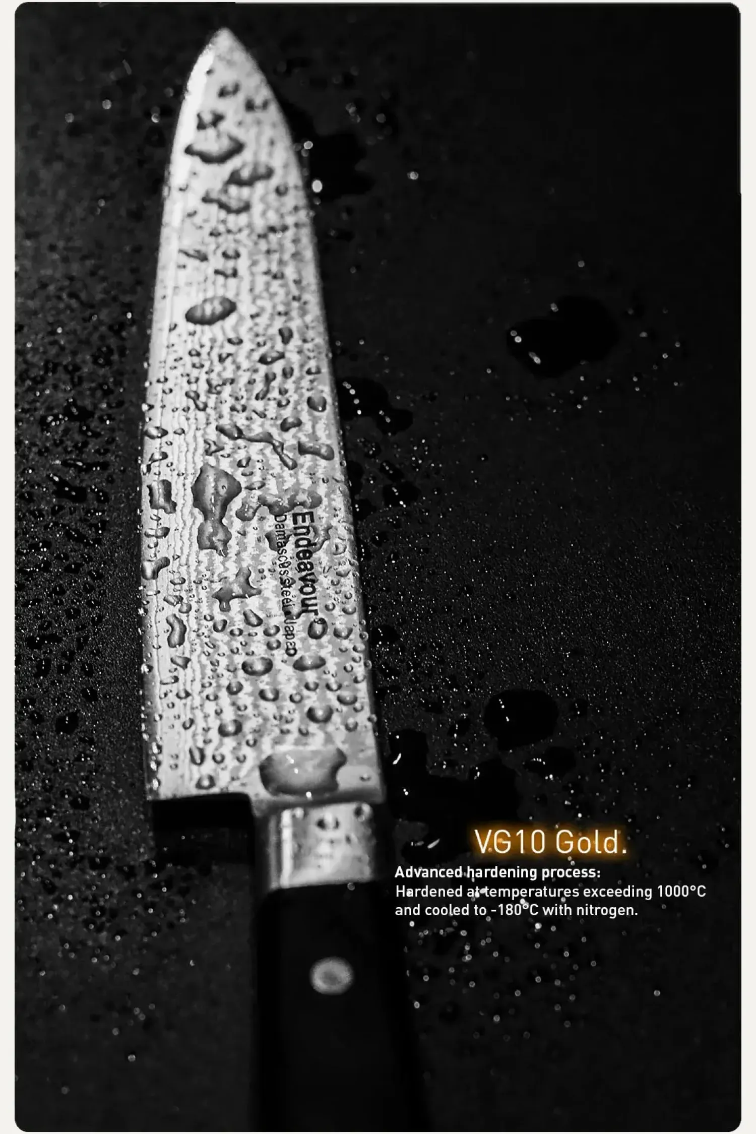 - Fruit Universalkniv - Frugtkniv - 15 cm*Endeavour Outlet