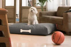 - Doggielounge - Canvas Recycled - L - Charcoal Grey^Fatboy Hot