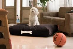 - Doggielounge - Canvas Recycled - L - Black Licorice*Fatboy