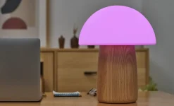 - Alice Mushroom Lamp - Large - White Ash Wood^Gingko Sale