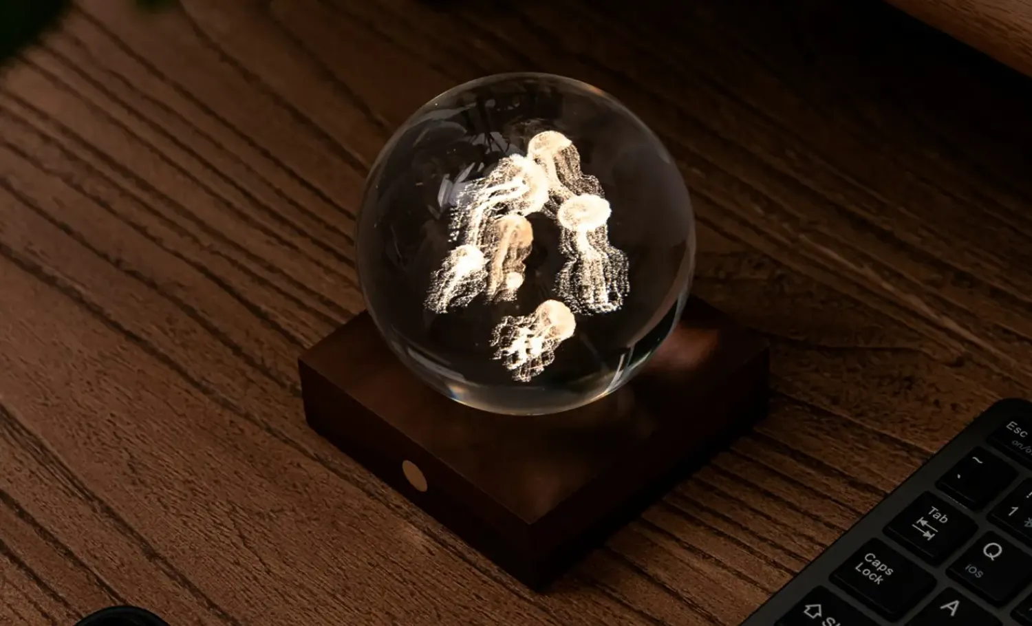 - Amber Crystal Light Bordlampe - 3D Jelly Fish*Gingko Outlet