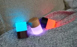 - Large Lemelia Light White Ash^Gingko New