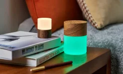 - Large Lemelia Light White Ash^Gingko New