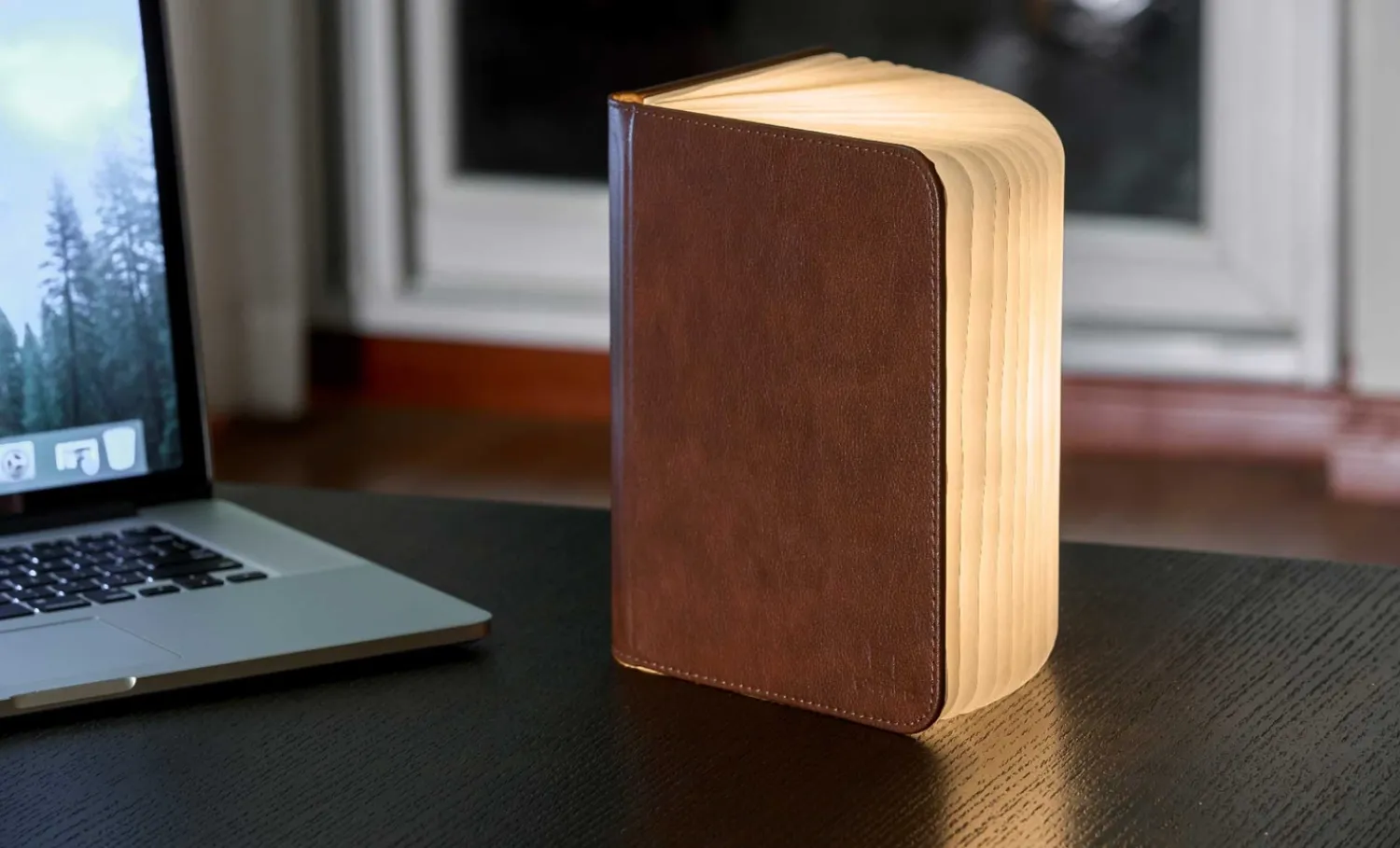 - LED Smart Booklight - Brown Leather - Large^Gingko Hot
