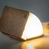 - LED Smart Fabric Booklight - Coffee Brown - Mini*Gingko Best