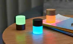 - Lemelia Light - Walnut - Mini*Gingko Discount