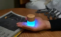 - Lemelia Light - White Ash - Mini - 6x4 cm^Gingko Clearance