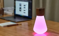 - Pentagon Light bulb Lamp Large Natural Walnut Wood*Gingko Hot