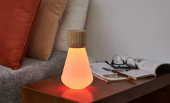 - Pentagon Light bulb Lamp Mini White Ash Wood^Gingko Hot