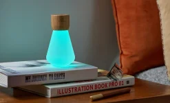 - Pentagon Light bulb Lamp Mini White Ash Wood^Gingko Hot