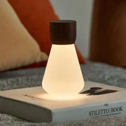 - Pentagon Light bulb Lamp Mini Natural Walnut Wood*Gingko Clearance