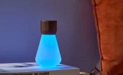 - Pentagon Light bulb Lamp Mini Natural Walnut Wood*Gingko Clearance