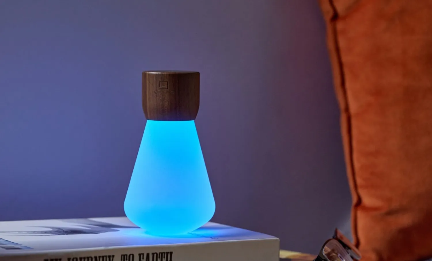 - Pentagon Light bulb Lamp Mini Natural Walnut Wood*Gingko Clearance