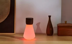 - Pentagon Light bulb Lamp Mini Natural Walnut Wood*Gingko Clearance