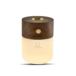 - Smart Diffuser Lamp Walnut^Gingko Outlet