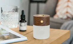 - Smart Diffuser Lamp Walnut^Gingko Outlet