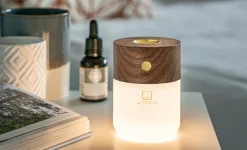 - Smart Diffuser Lamp Walnut^Gingko Outlet