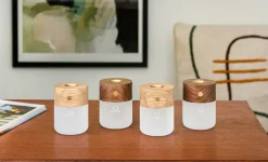 - Smart Diffuser Lamp Walnut^Gingko Outlet