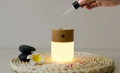 - Smart Diffuser Lamp White Ash*Gingko Online