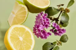 - Body Scrub - Purifying Verbena - 200 ml*Haan Hot