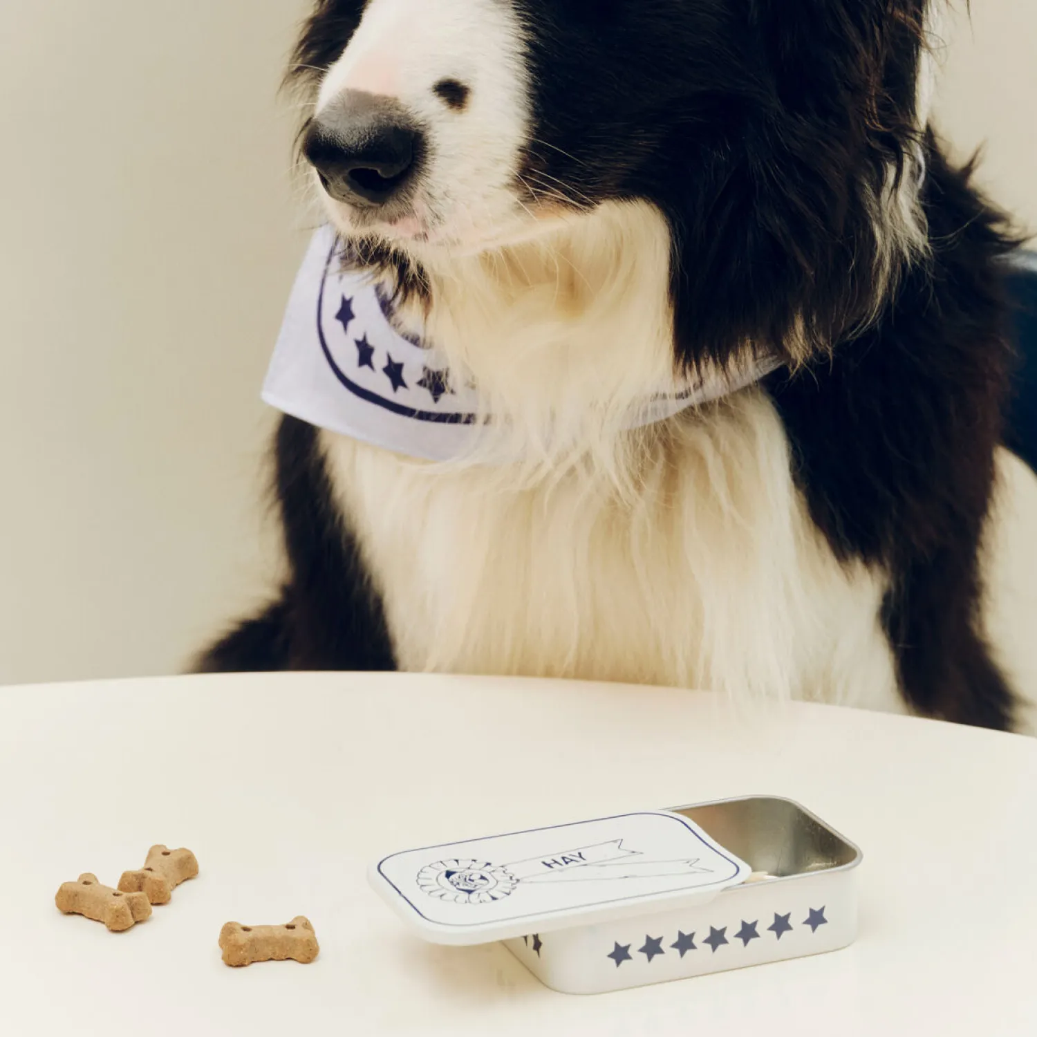 - Dogs Treat Tin - Small - Rød/hvid^Hay Clearance