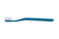 - Tann Toothbrush - Ocean blue and lavender*Hay Sale