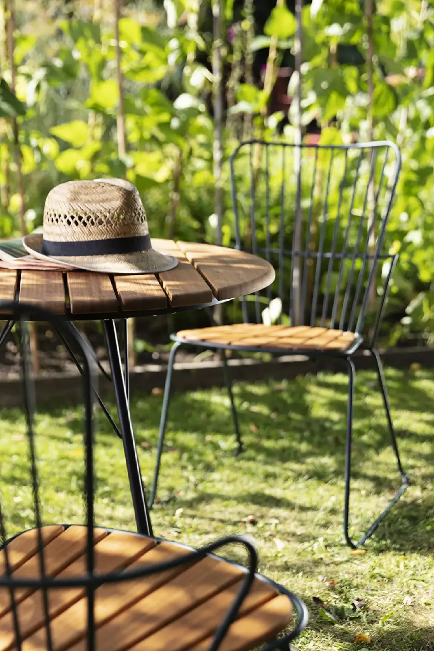 - PAON Dining chair - Black. Seat^Houe Sale