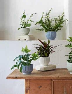 - urtepotteskjuler Ø 16 cm ripple lavender^Knabstrup Keramik Sale