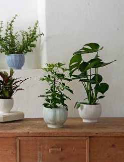 - urtepotteskjuler Ø 18 cm ripple mint*Knabstrup Keramik Online