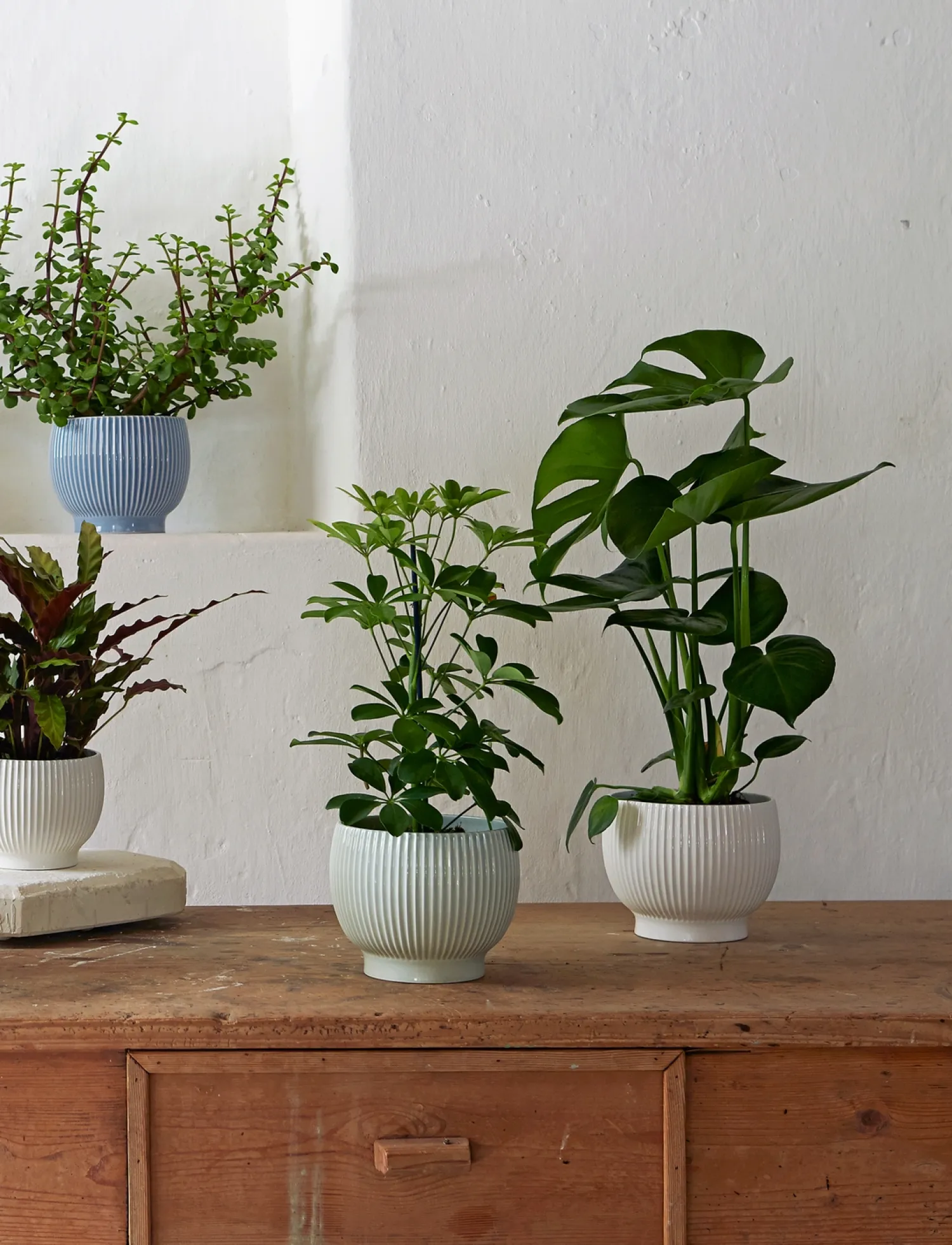 - urtepotteskjuler Ø 18 cm ripple mint*Knabstrup Keramik Online