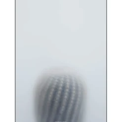 - Ball Cactus I - poster 50x70 cm*Kristina Dam Online