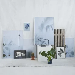 - Ball Cactus I - poster 50x70 cm*Kristina Dam Online