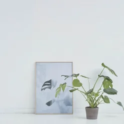 - Split-leaf I - poster 50x70 cm*Kristina Dam Online