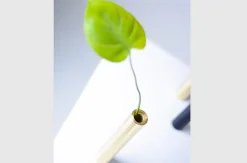 - Slim Vase - Messing - Højde 17 cm^Kunstindustrien Sale